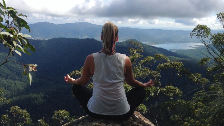 The Meaning of&nbsp;Life