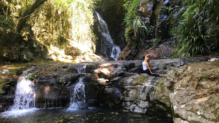 The Human Experiment